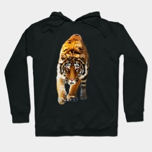 Tiger stalking, Love Tigers, Big Cat Hoodie